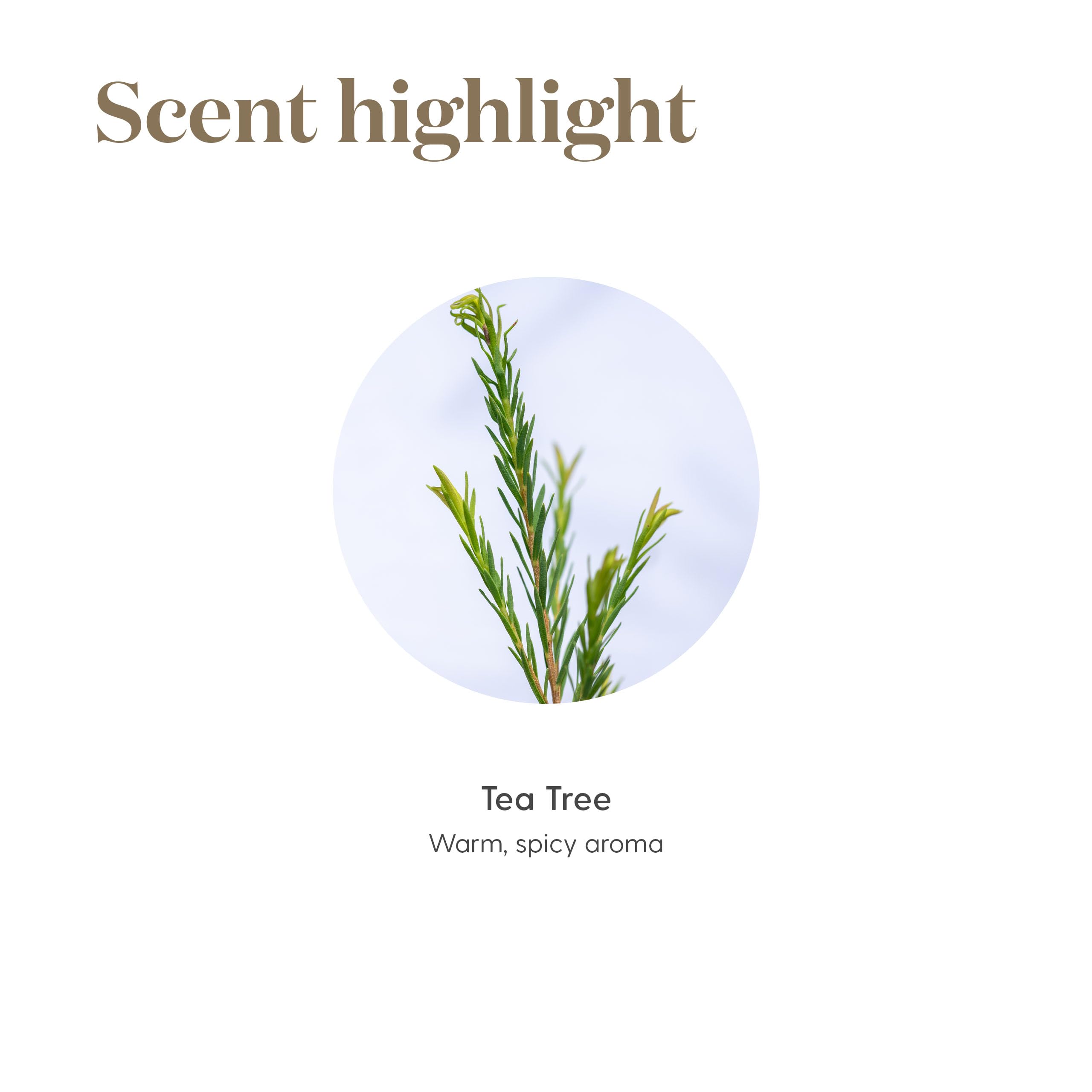 Young Living Tea Tree Oil travel-pack illustrating on-the-go packaging.