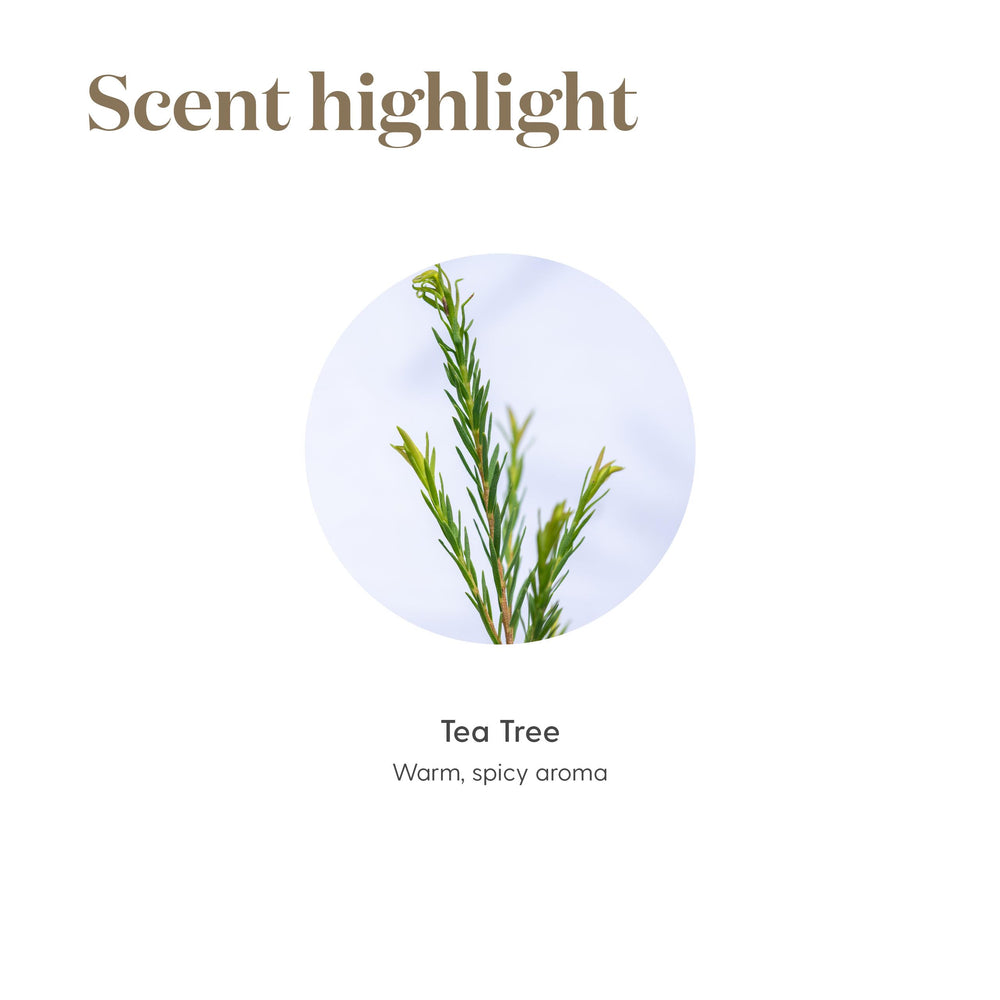 Young Living Tea Tree Oil travel-pack illustrating on-the-go packaging.
