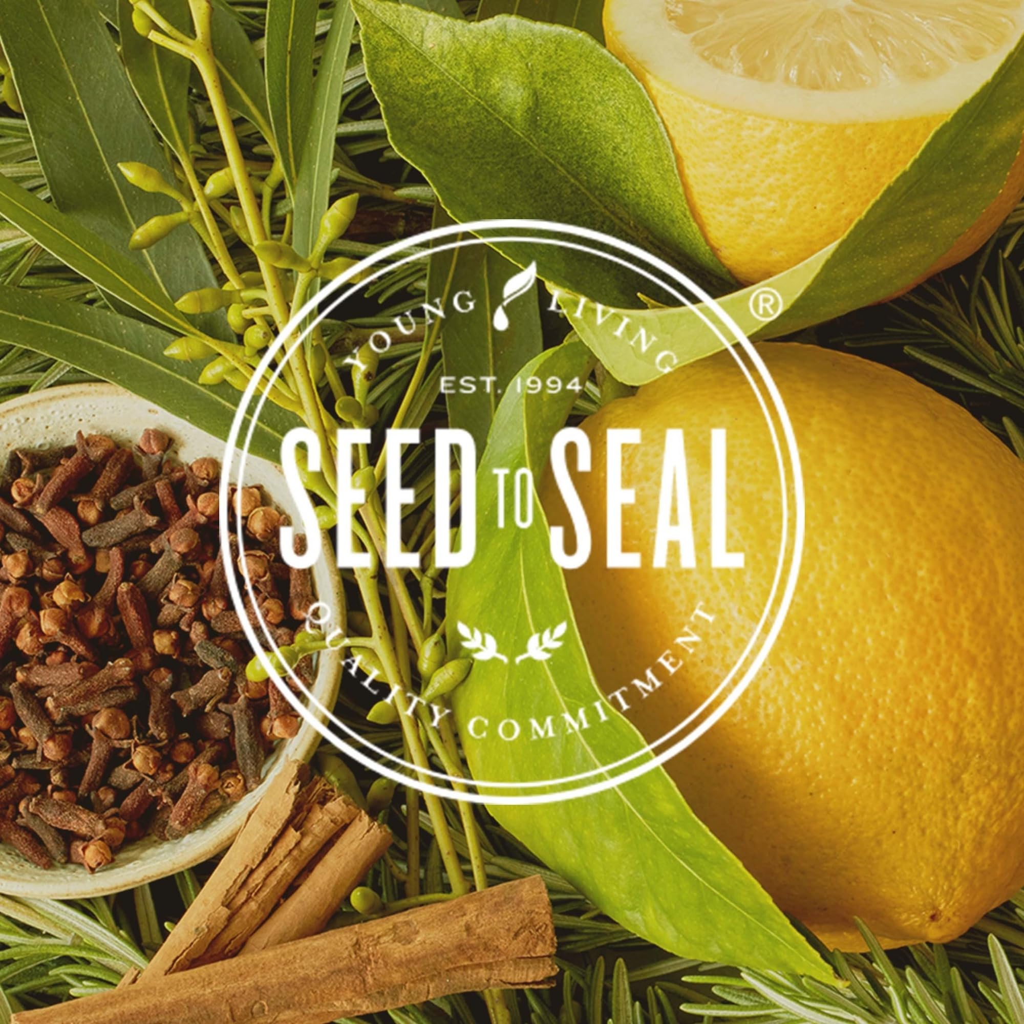 Young Living Thieves in a cozy room creating ambient scent.