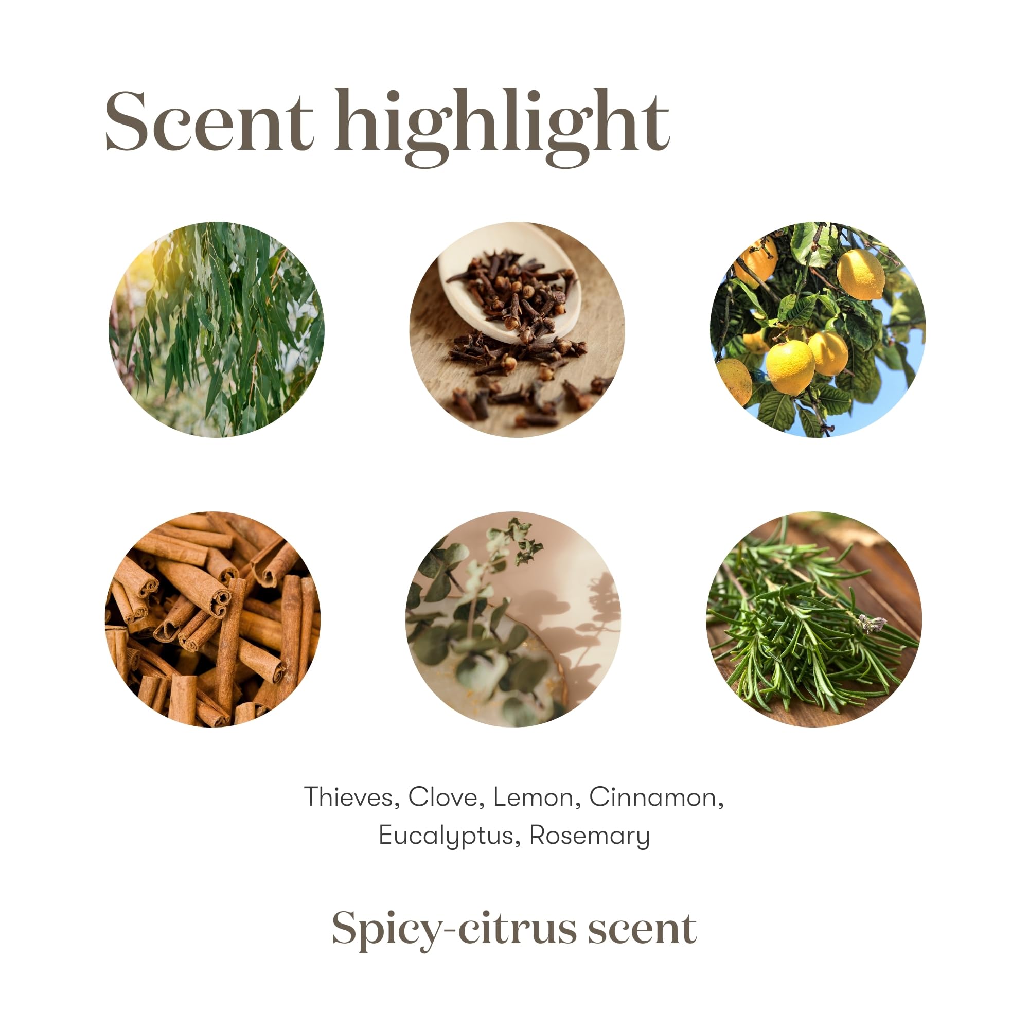 Young Living Thieves ingredient blend concept image for warmth.