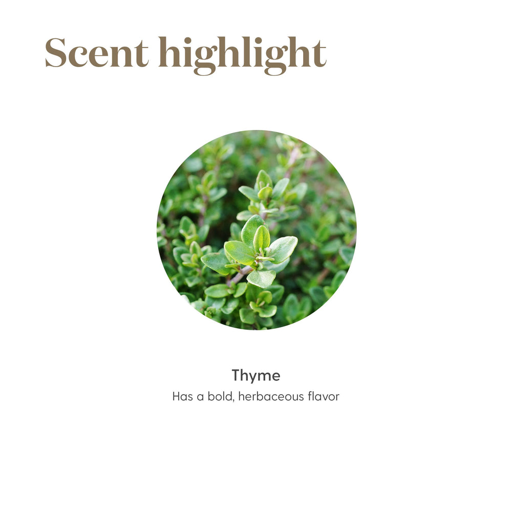 Young Living Thyme Vitality kitchen scene showcasing convenient culinary oil.