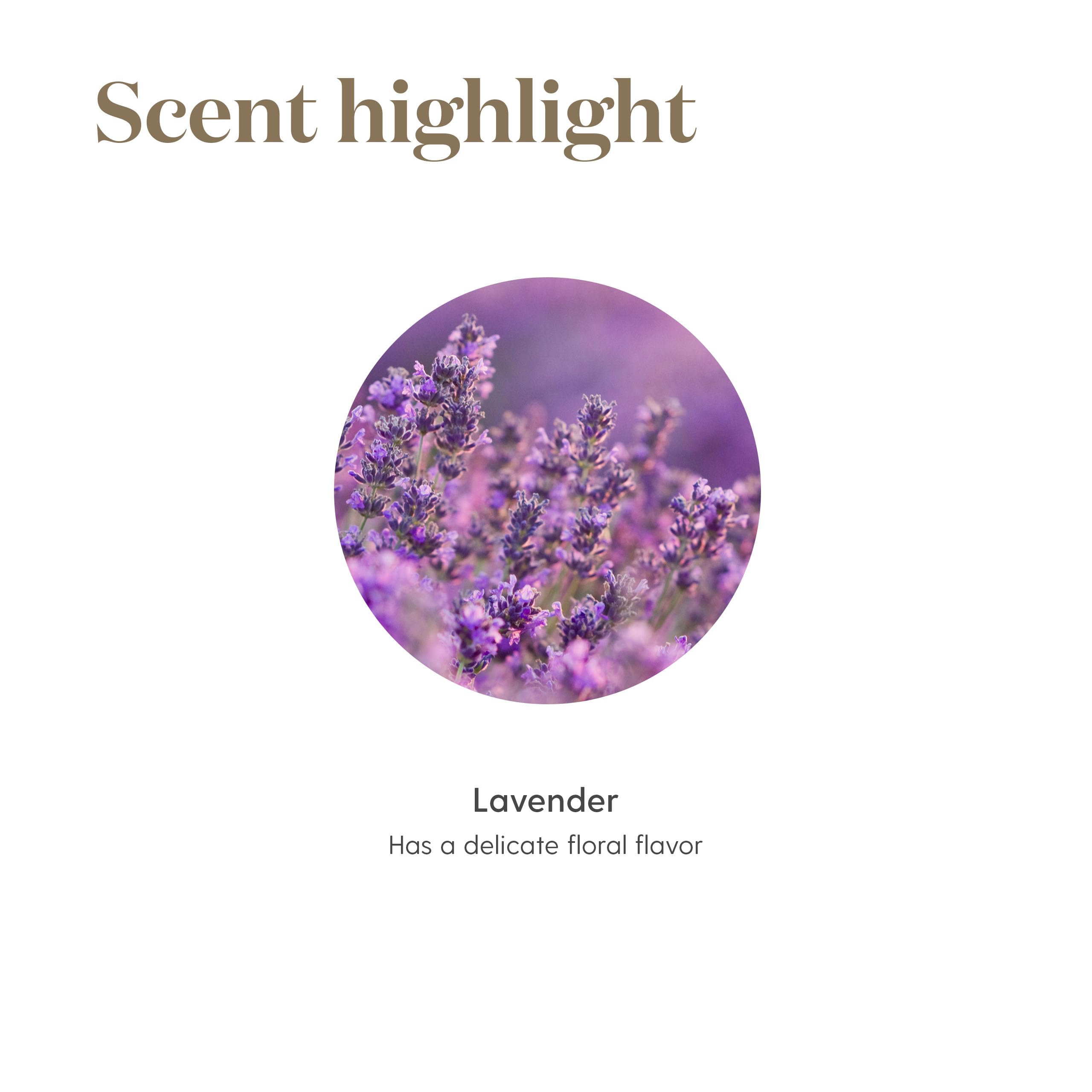 Steam-distilled process of Young Living Vitality Lavender Oil