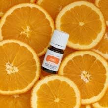 Young Living Vitality Orange oil drops for culinary use.