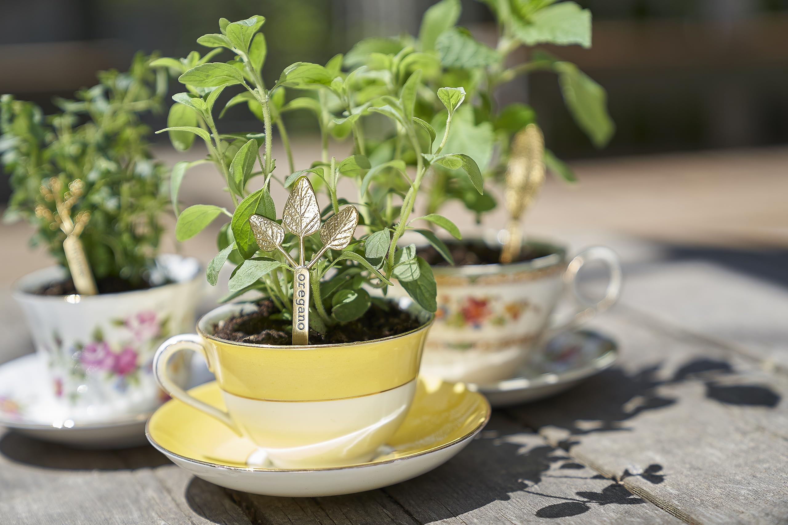 Two-pack Young Living Vitality Oregano Oil emphasizes convenient daily use.