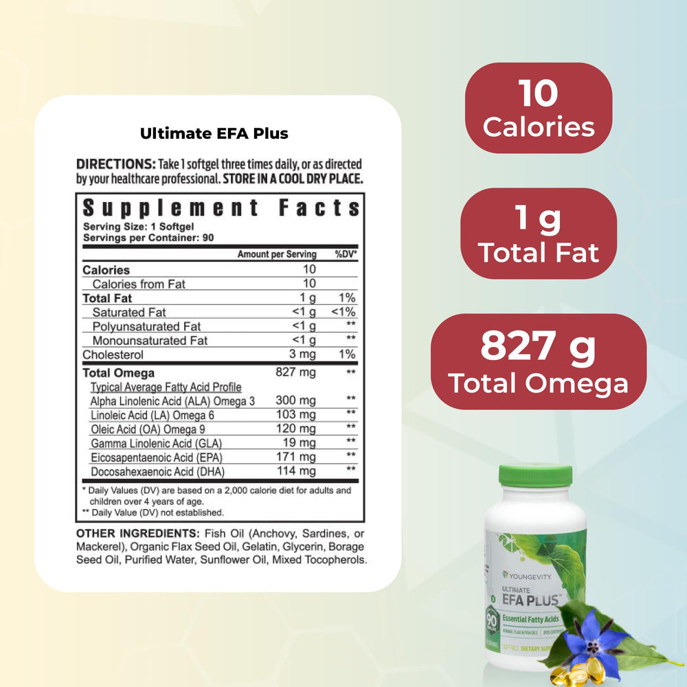 Youngevity Healthy Body Start Pack 2.0 front cover showing all items.