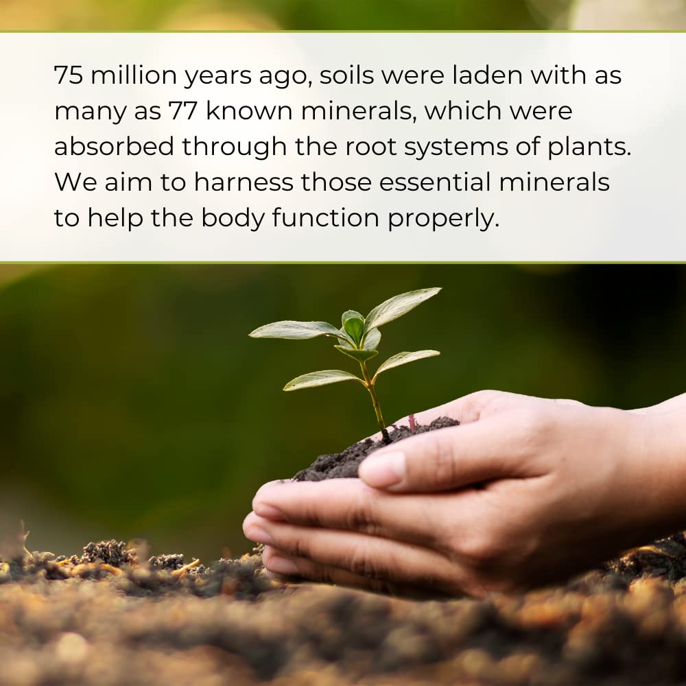 Youngevity Plant Derived Liquid Minerals nutrition information displaying trace minerals