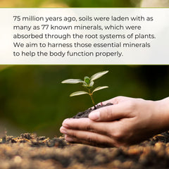 Youngevity Plant Derived Liquid Minerals nutrition information displaying trace minerals