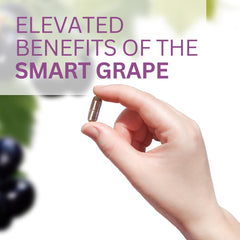 Ingredients of Youngevity Muscadine extract showing non-GMO purity.