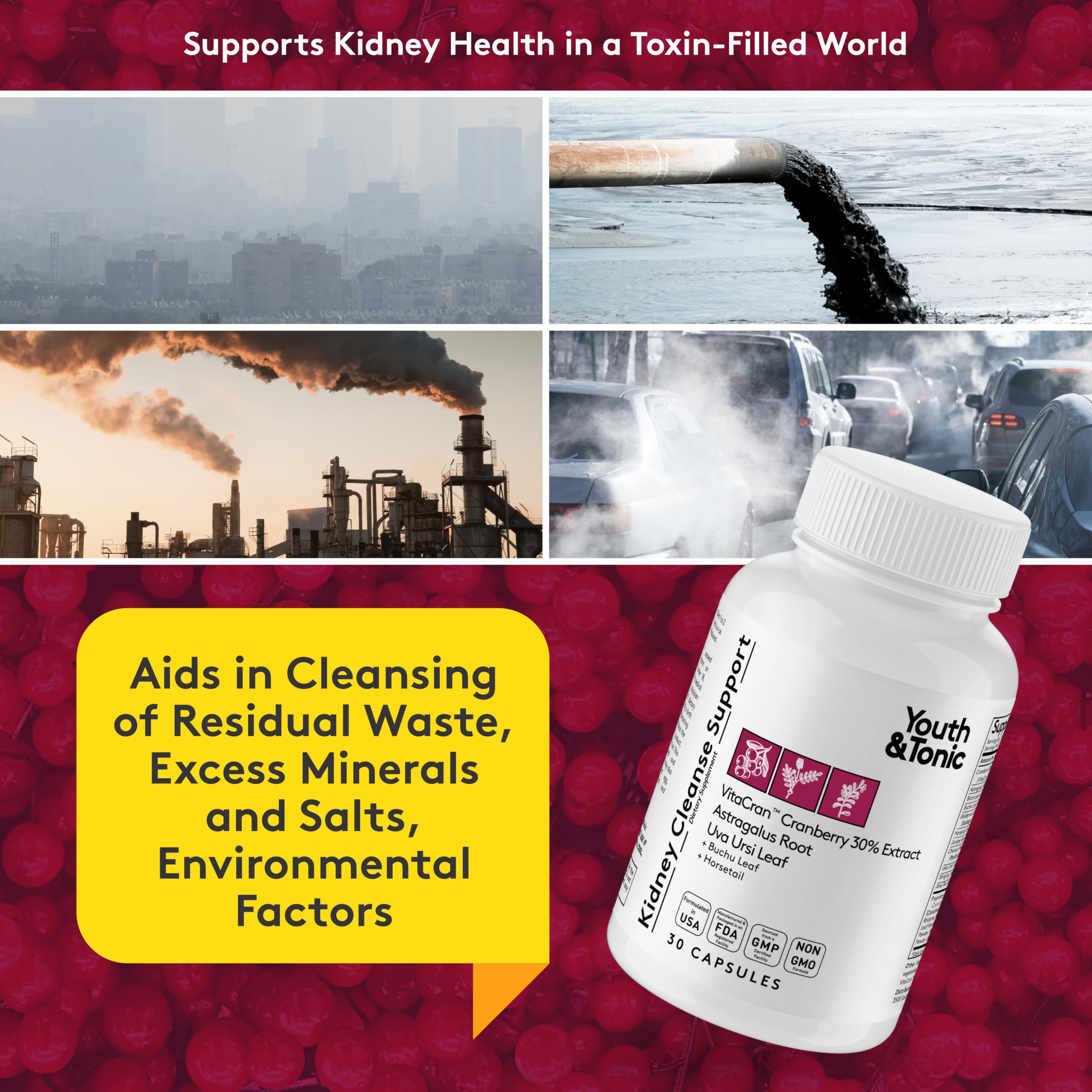 Youth & Tonic Kidney Cleanse cranberry extract close-up highlighting VitaCran support for urinary health