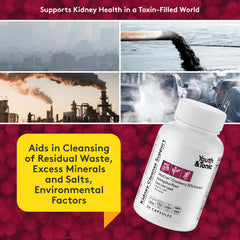 Youth & Tonic senna leaf and fiber blend capsules promote gut support
