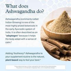 Icon representing KSM-66 on Youtheory Ashwagandha packaging for potency