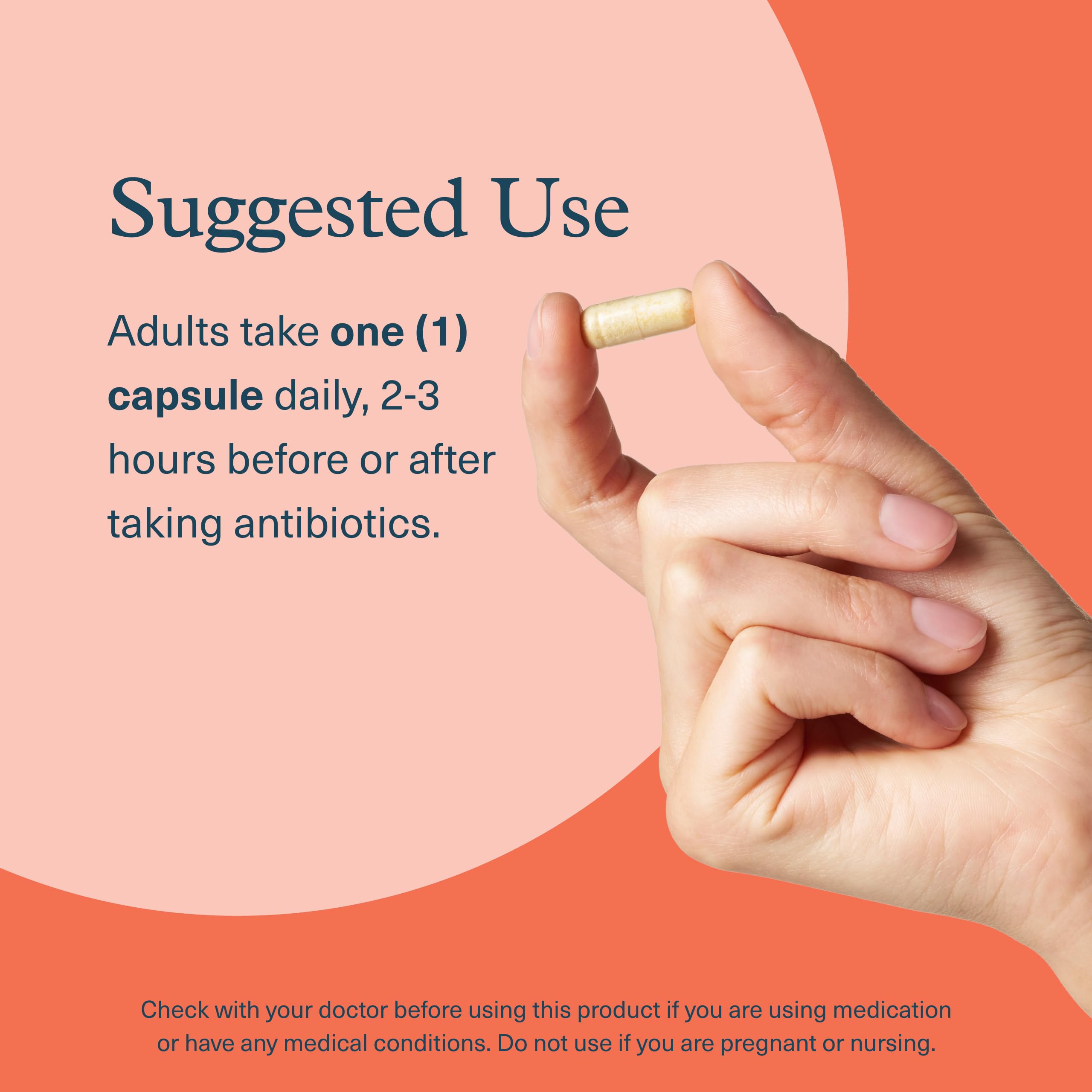 Youtheory clinically studied probiotic strains illustrated for gut health support