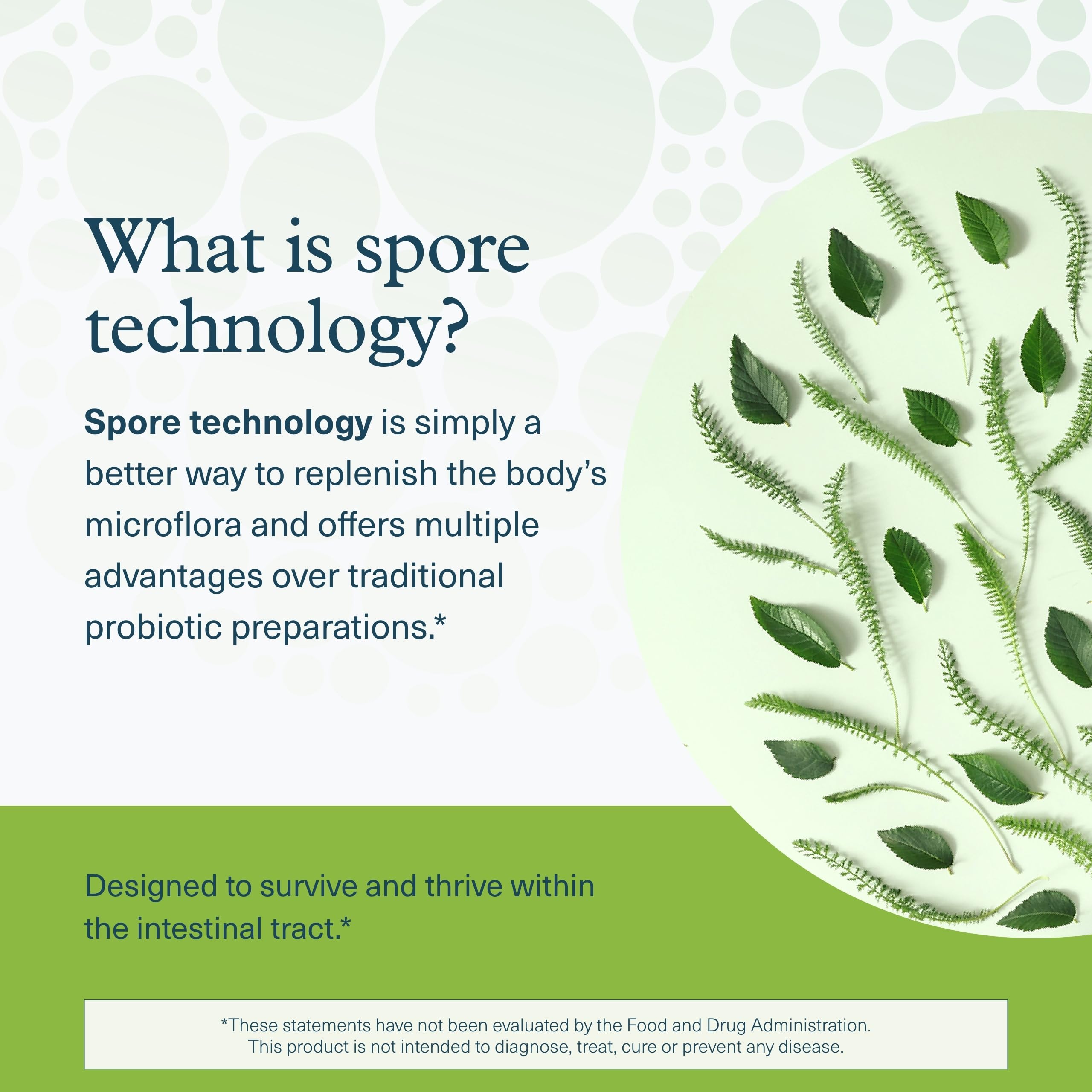 Packaging of Youtheory Spore Probiotic displayed on a store shelf.