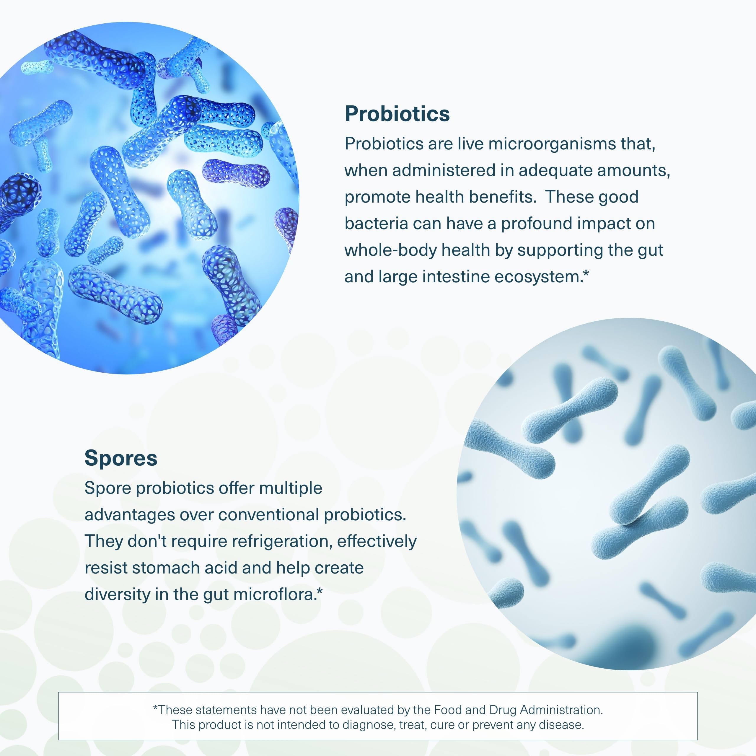 Graphic of prebiotic ingredients associated with Youtheory Spore Probiotic.