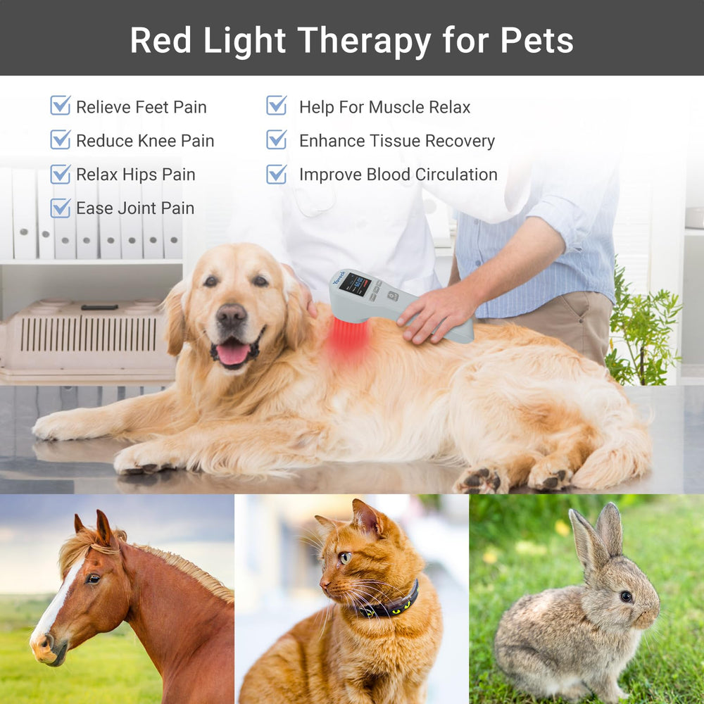 Yoveck red light therapy device display panel shows settings clearly.