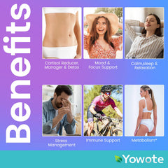 YOWOTE cortisol gummies close-up highlighting berry color for daily wellness.