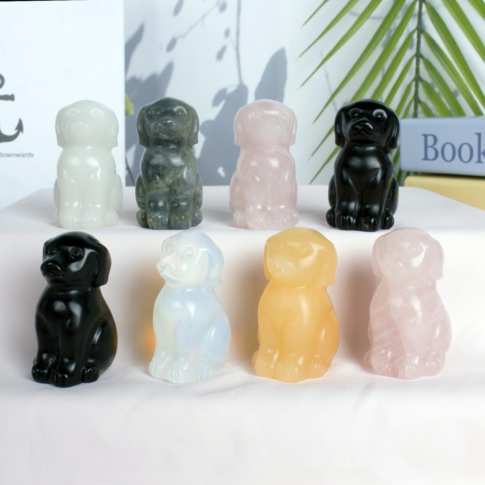 Ytbeoxk Labradorite dog gift packaging showcases elegant presentation