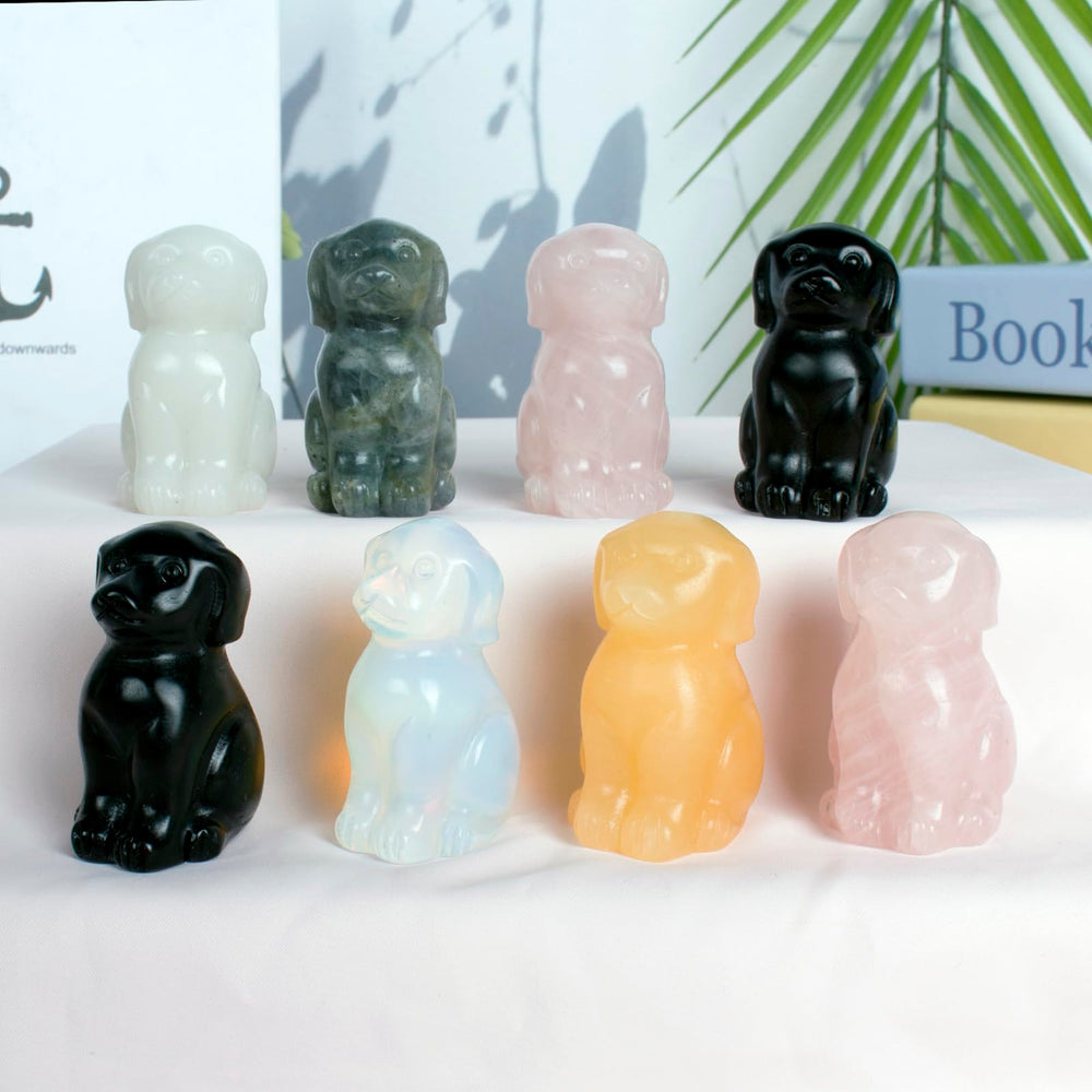Ytbeoxk Labradorite dog gift packaging showcases elegant presentation