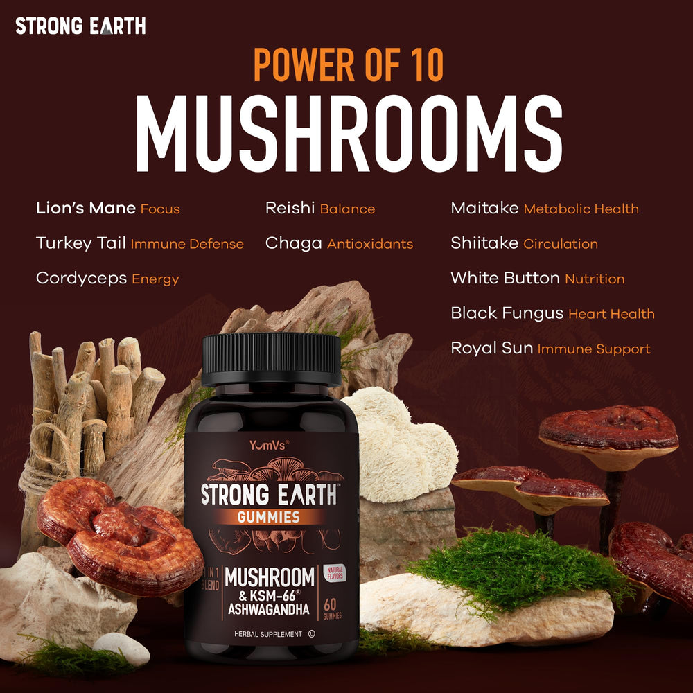 YUM-V'S Lions Mane detail suggesting focus support