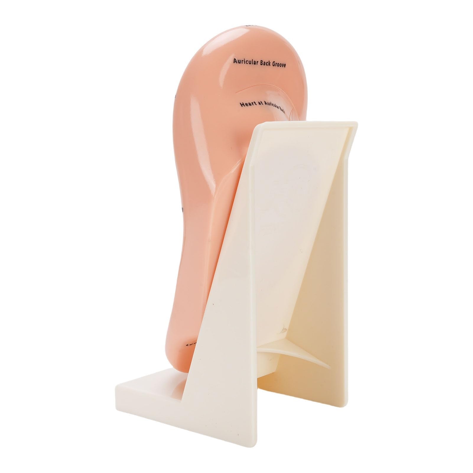 YUYTE durable design supports frequent use in beauty salons and classrooms