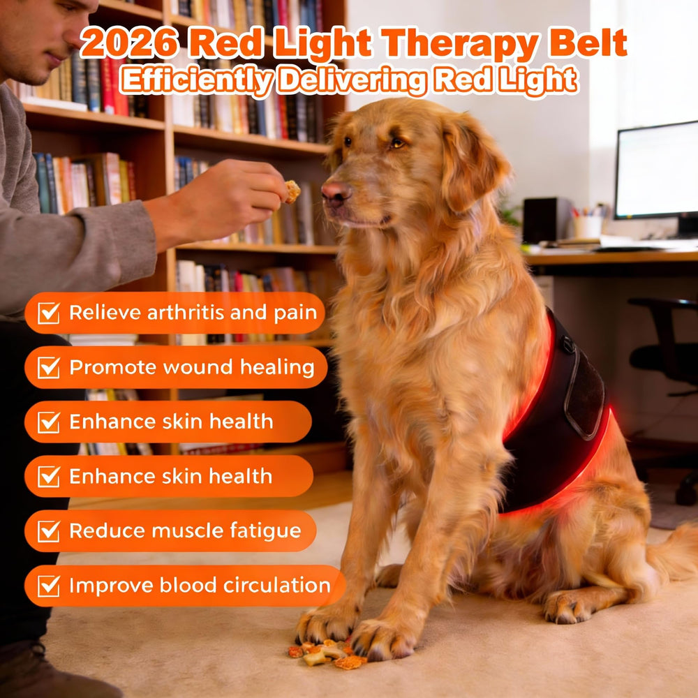ZAEXAE red light therapy belt remote control and timer for convenient sessions.