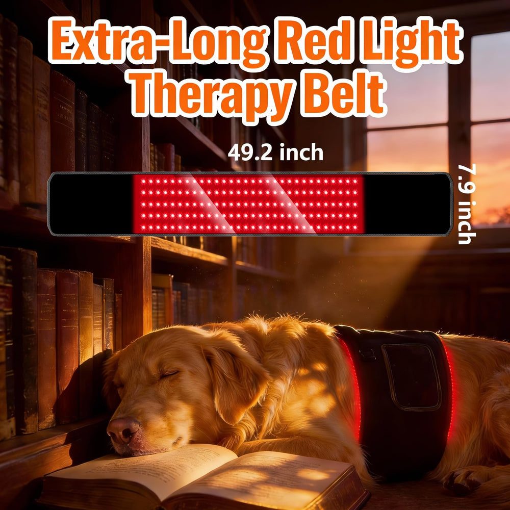 ZAEXAE red light therapy belt wrapped around a pet for easy heat delivery.