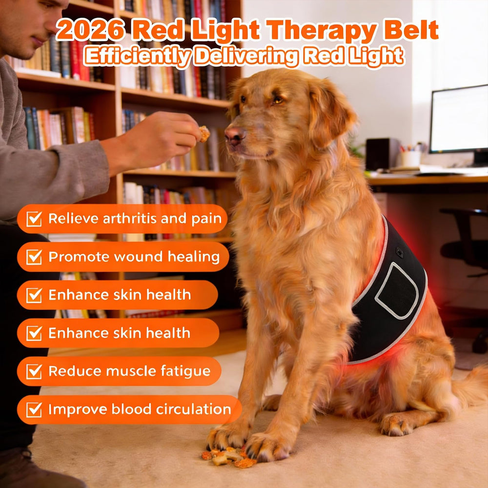 ZAEXAE built-in timer ensures safe, timed pet therapy sessions.