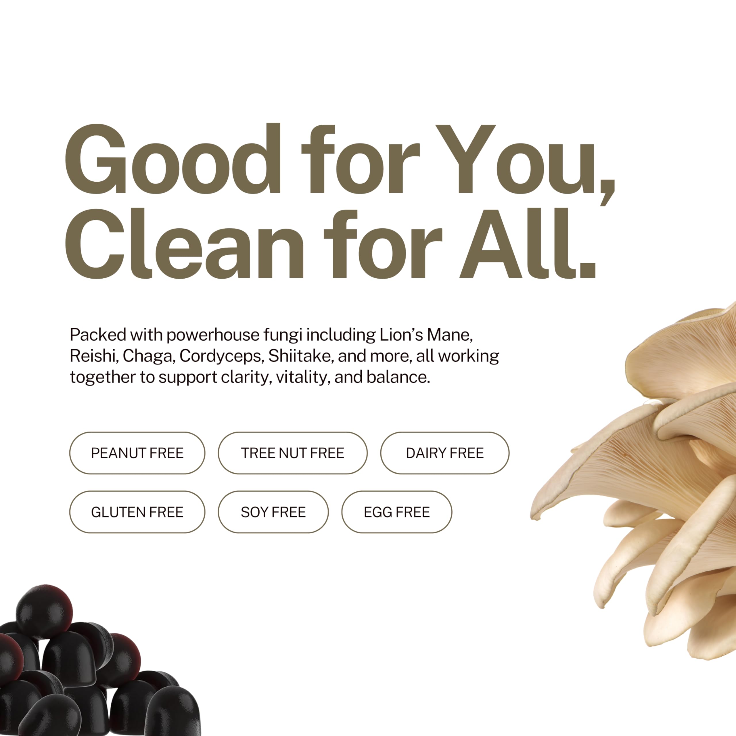 Zahler Chapter Six raspberry blend imagery suggests ten-mushroom complex for daily wellness