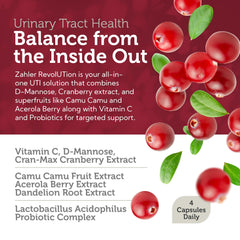 Probiotic blend in Zahler Revolution capsules promoting gut and urinary balance.
