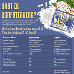 Zaigon benfotiamine capsules close-up emphasizing nutrient delivery