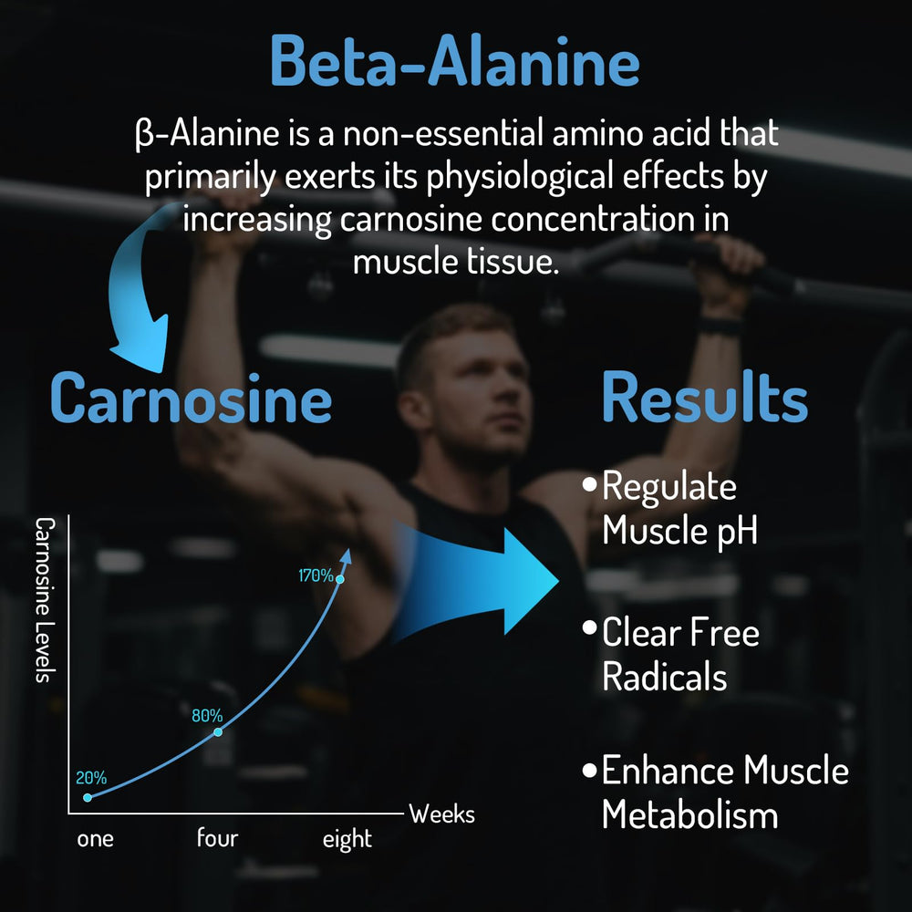 Zaigon beta alanine bottle label close-up, highlighting liposomal delivery for better absorption.