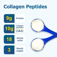 Zammex collagen powder scoop for easy daily serving