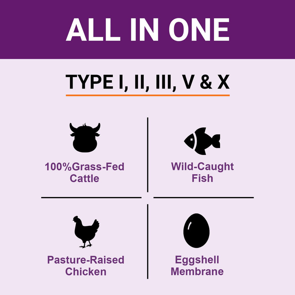 Zammex ingredients sourced from grass-fed beef, pasture poultry, wild fish, and eggs