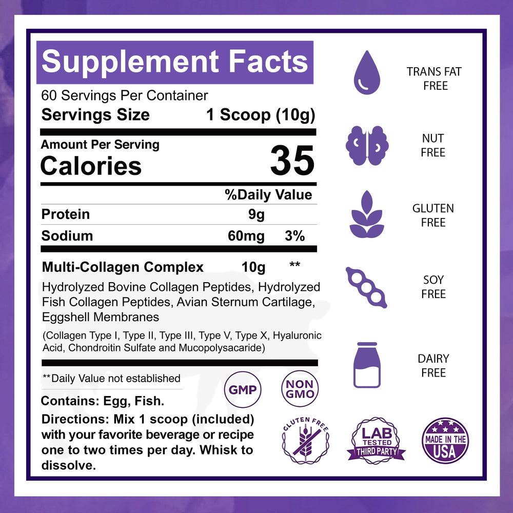 Zammex Multi-Collagen scoop with measurement for accurate 10g servings
