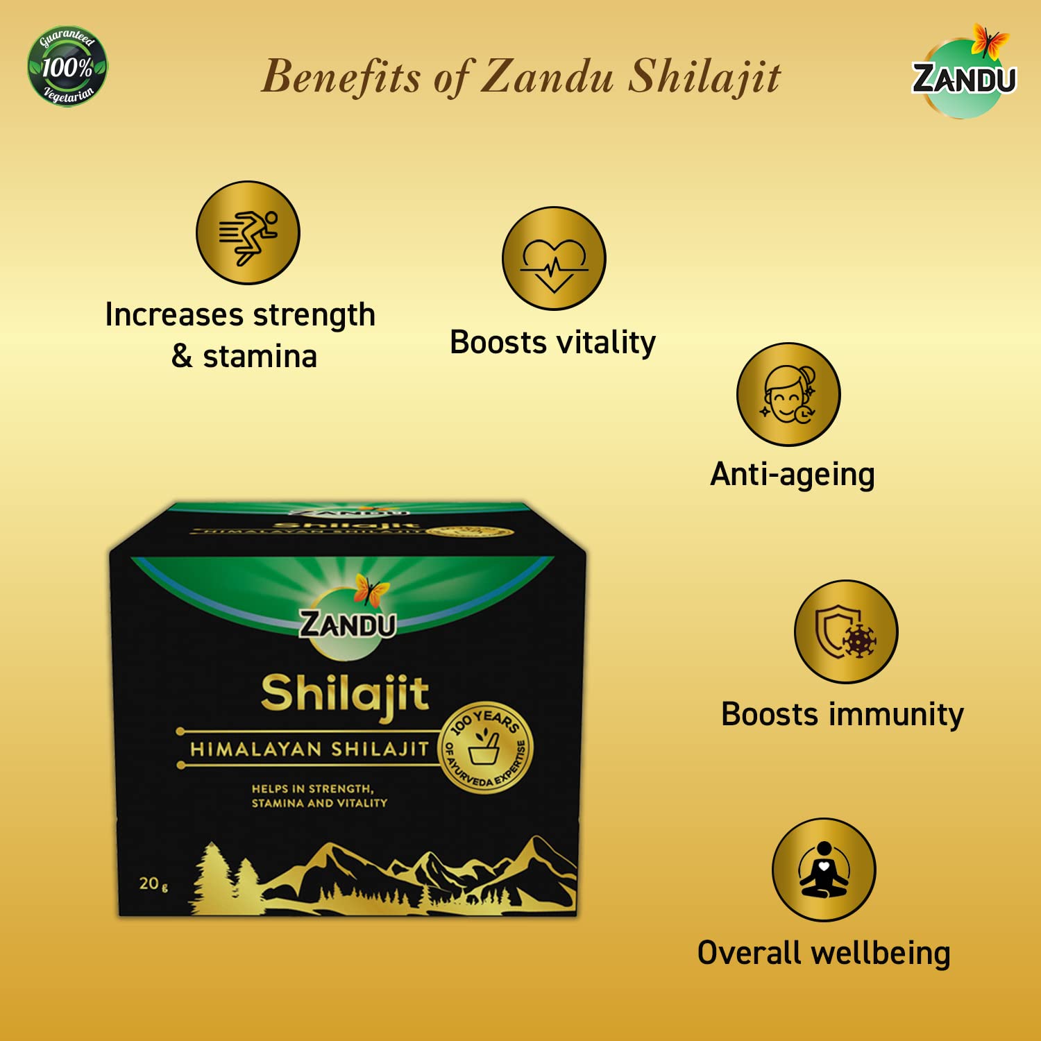 Zandu Himalayan Shilajit Resin energy-visual hints at daily performance support.
