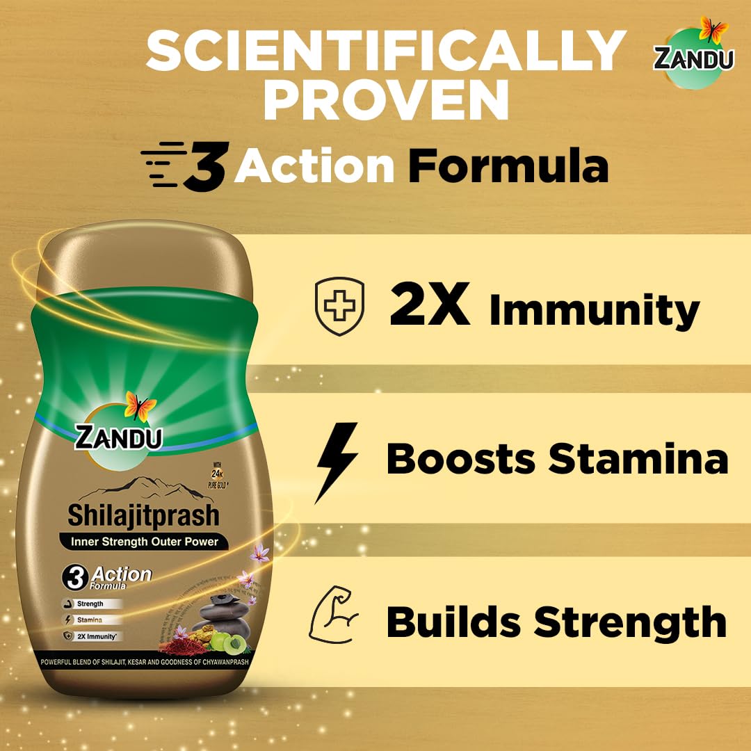 Zandu Shilajitprash 47-herbs blend illustrated for holistic wellness.
