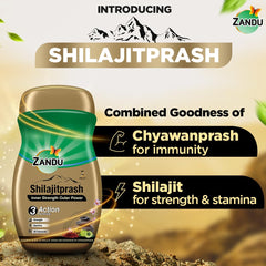 Zandu Shilajitprash packaging box displayed on a table.