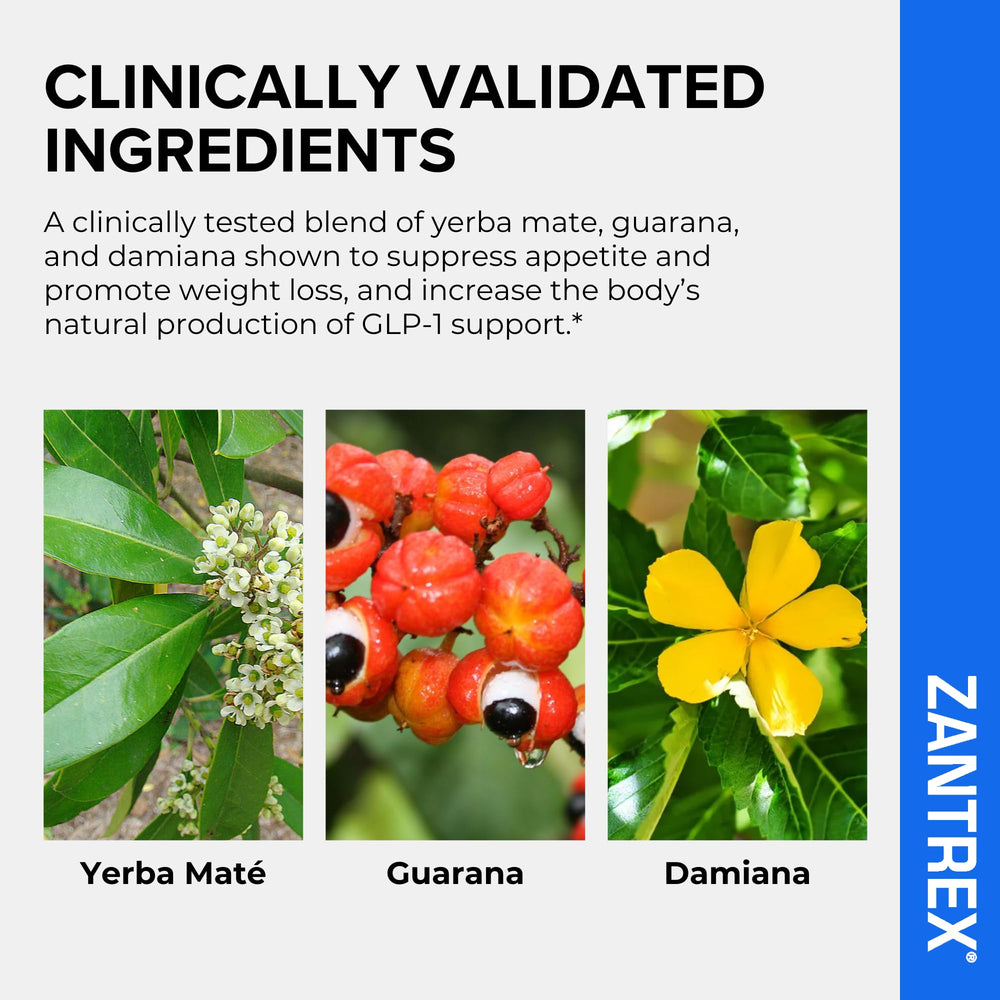 Zantrex Blue bottle shown in a morning routine for sustained energy.