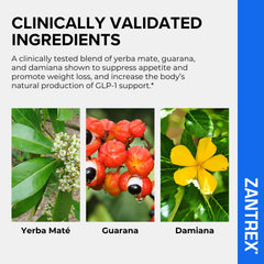 Zantrex Blue bottle shown in a morning routine for sustained energy.