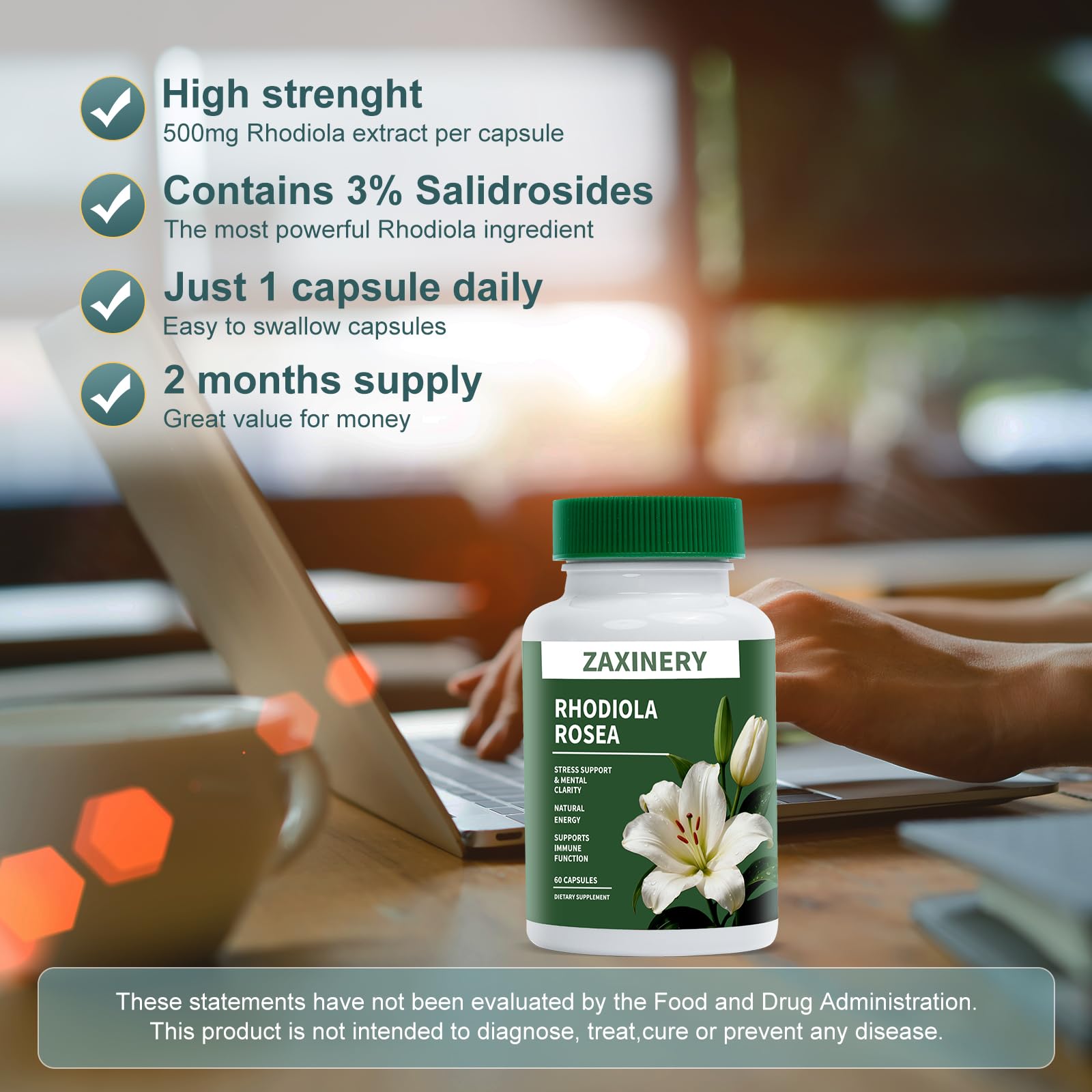 ZAXINERY Rhodiola Rosea daily routine scene showing calm focus
