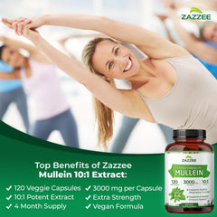 Zazzee Mullein 10x Extract capsules ready for daily vegan use