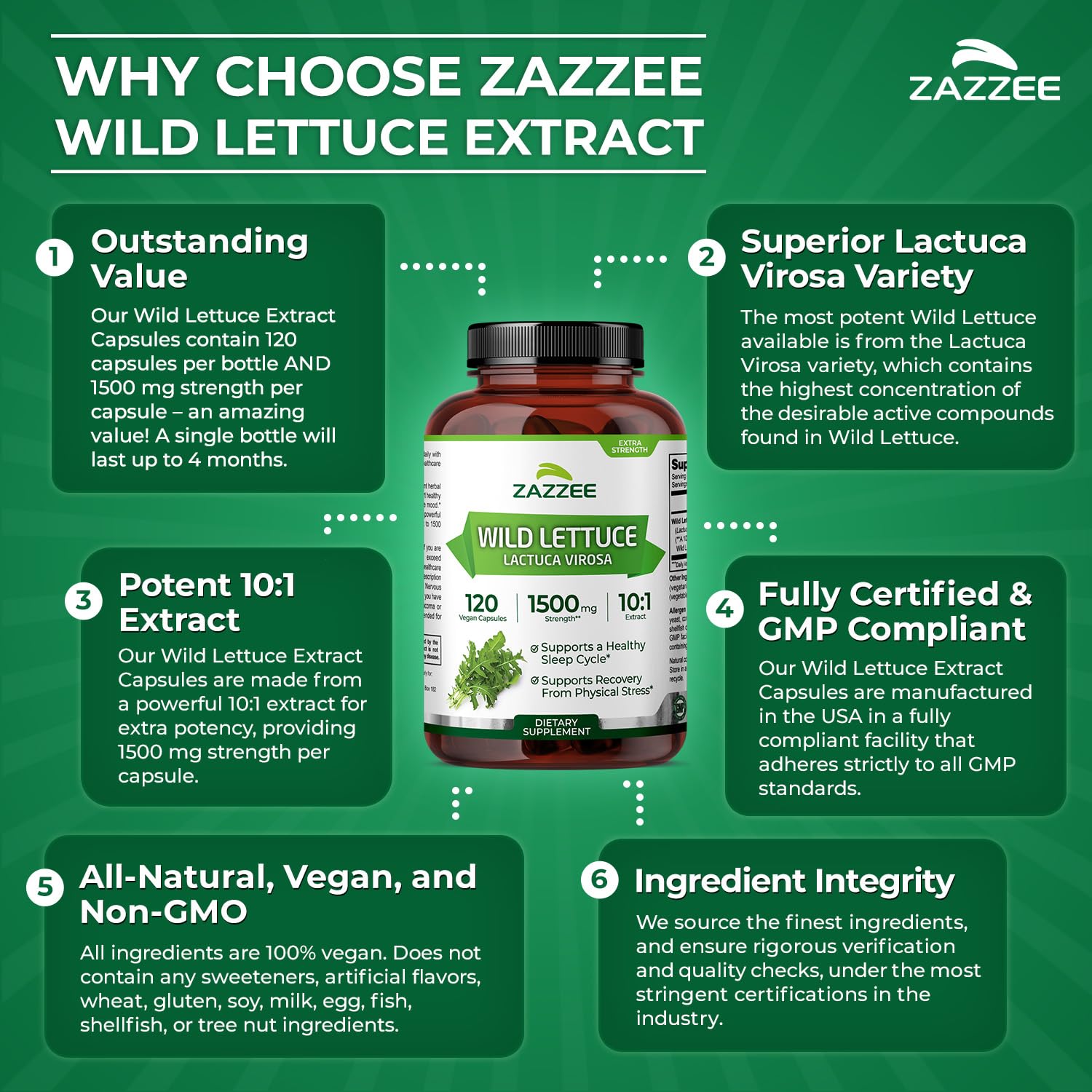 Zazzee Ten-to-One extract close-up emphasizes concentration