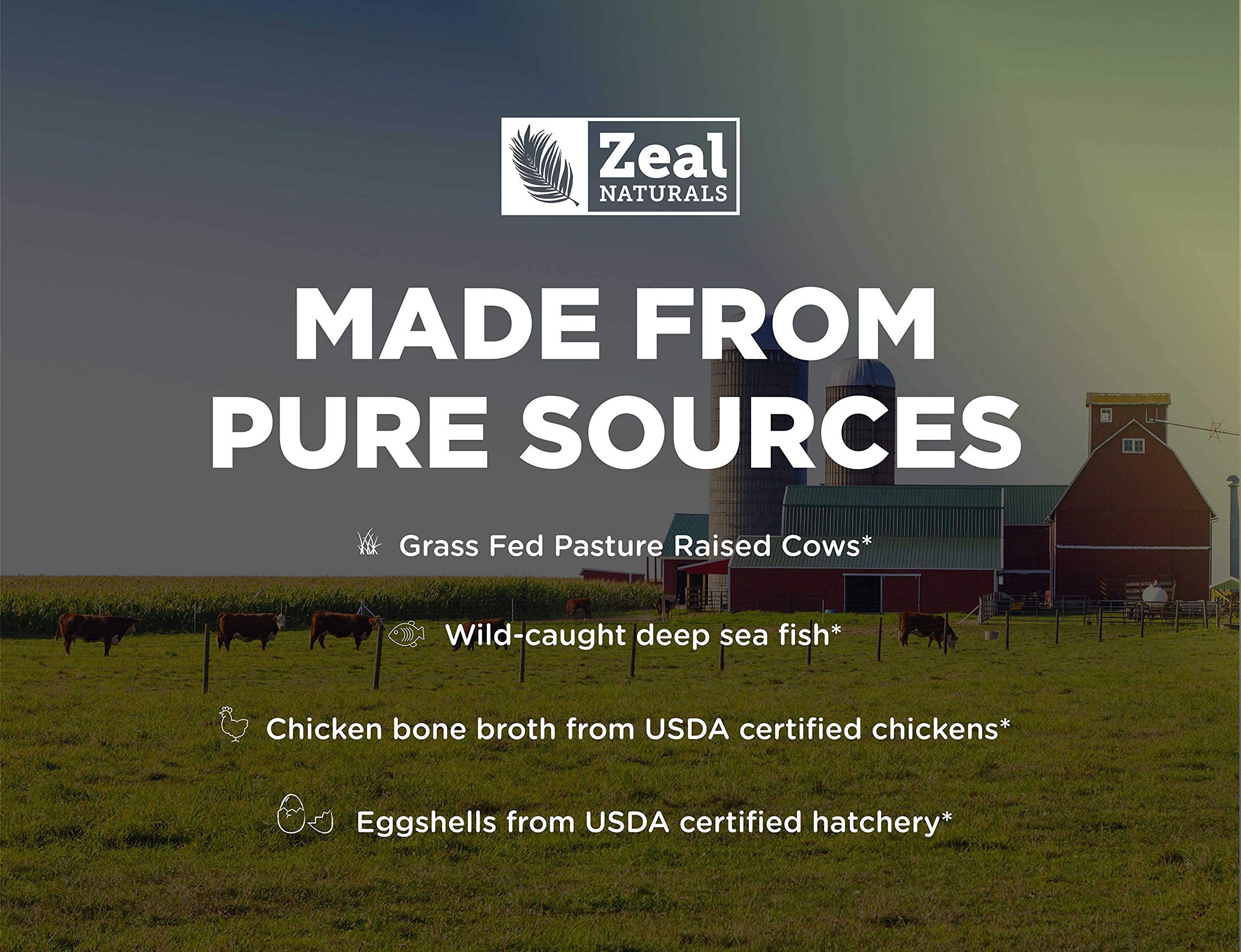 Zeal Naturals wild-caught fish collagen pills for hydration and skin support.