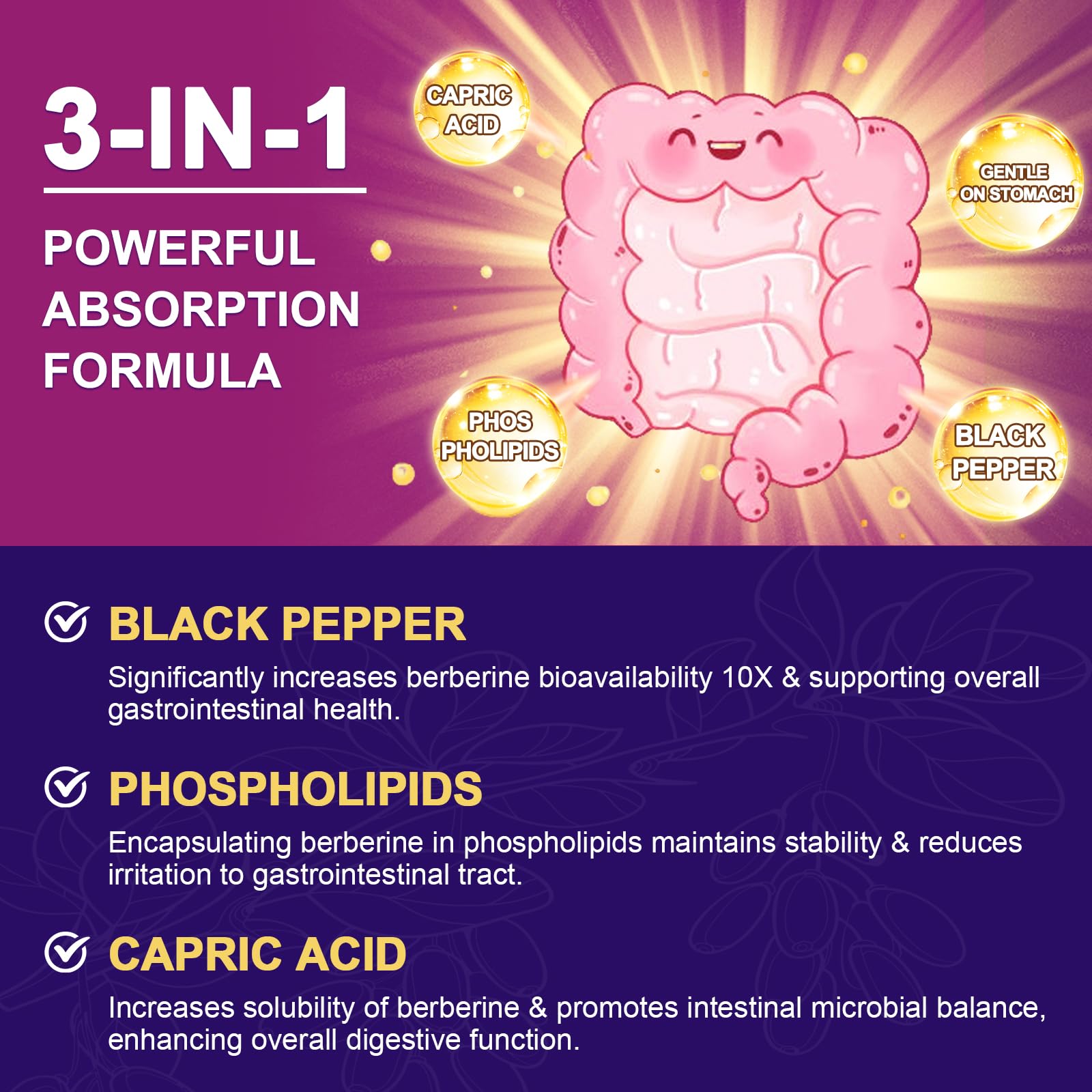 ZEBORA Piperine enhanced Berberine bottle illustrates improved absorption potential.