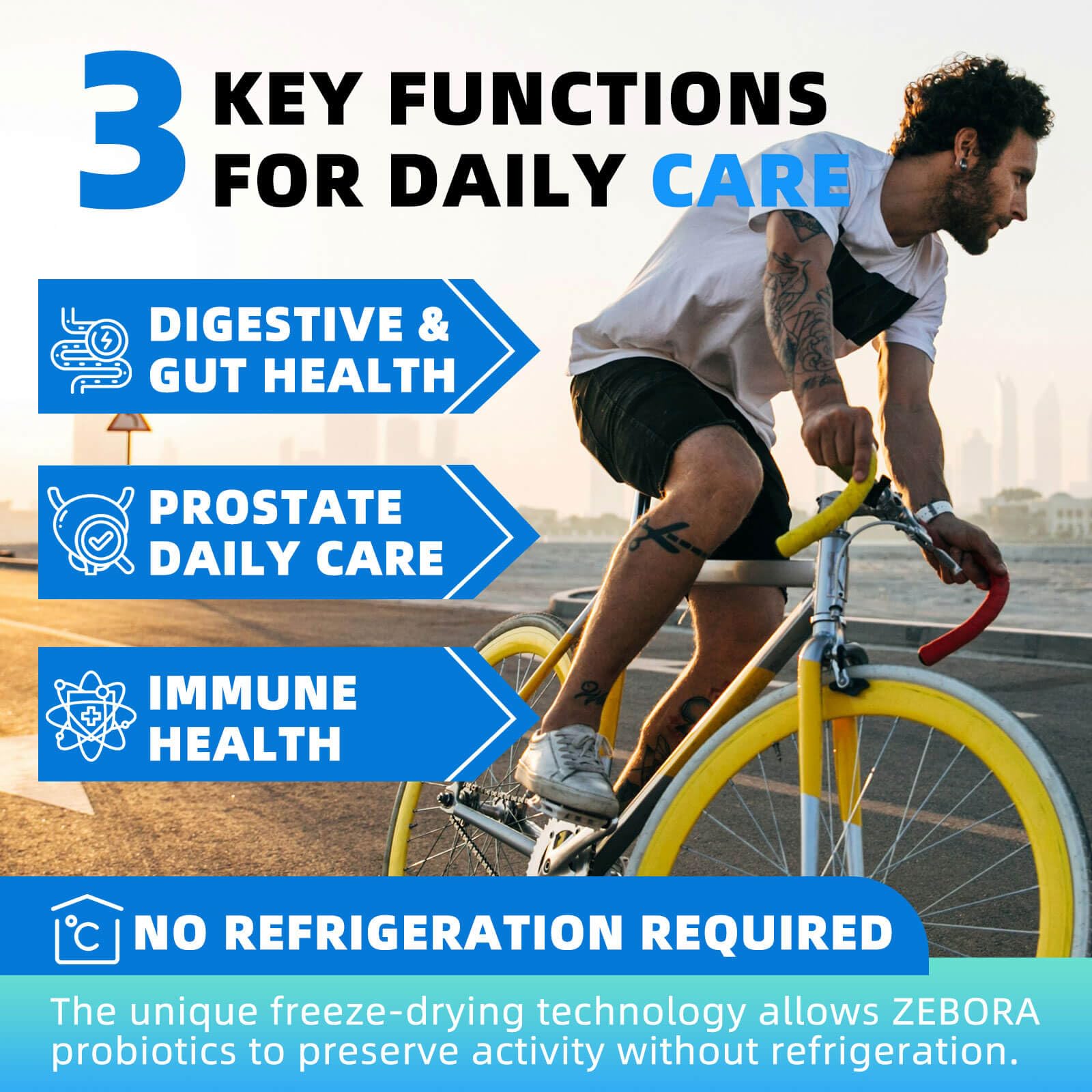 Close-up of ZEBORA Probiotics for Men capsules for balanced gut health