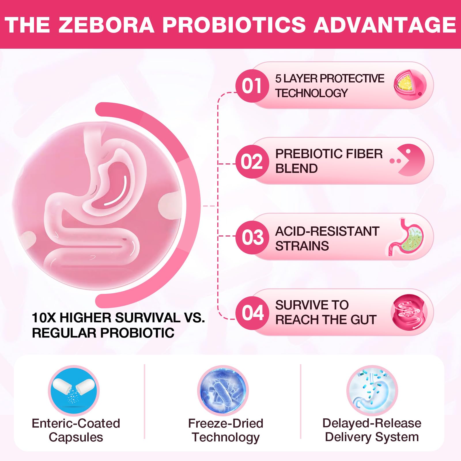 Gluten-free vegan probiotic capsules support gut and vaginal health.