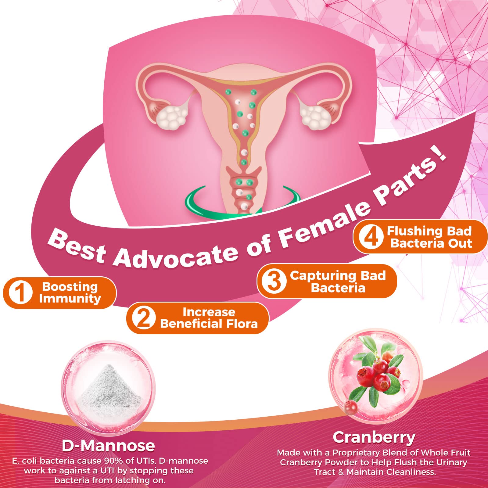 ZEBORA Probiotics for Women delayed-release-technology illustration shows stomach-safe delivery