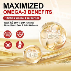 ZEBORA flaxseed and borage oils scene highlighting comprehensive plant-based fatty acids