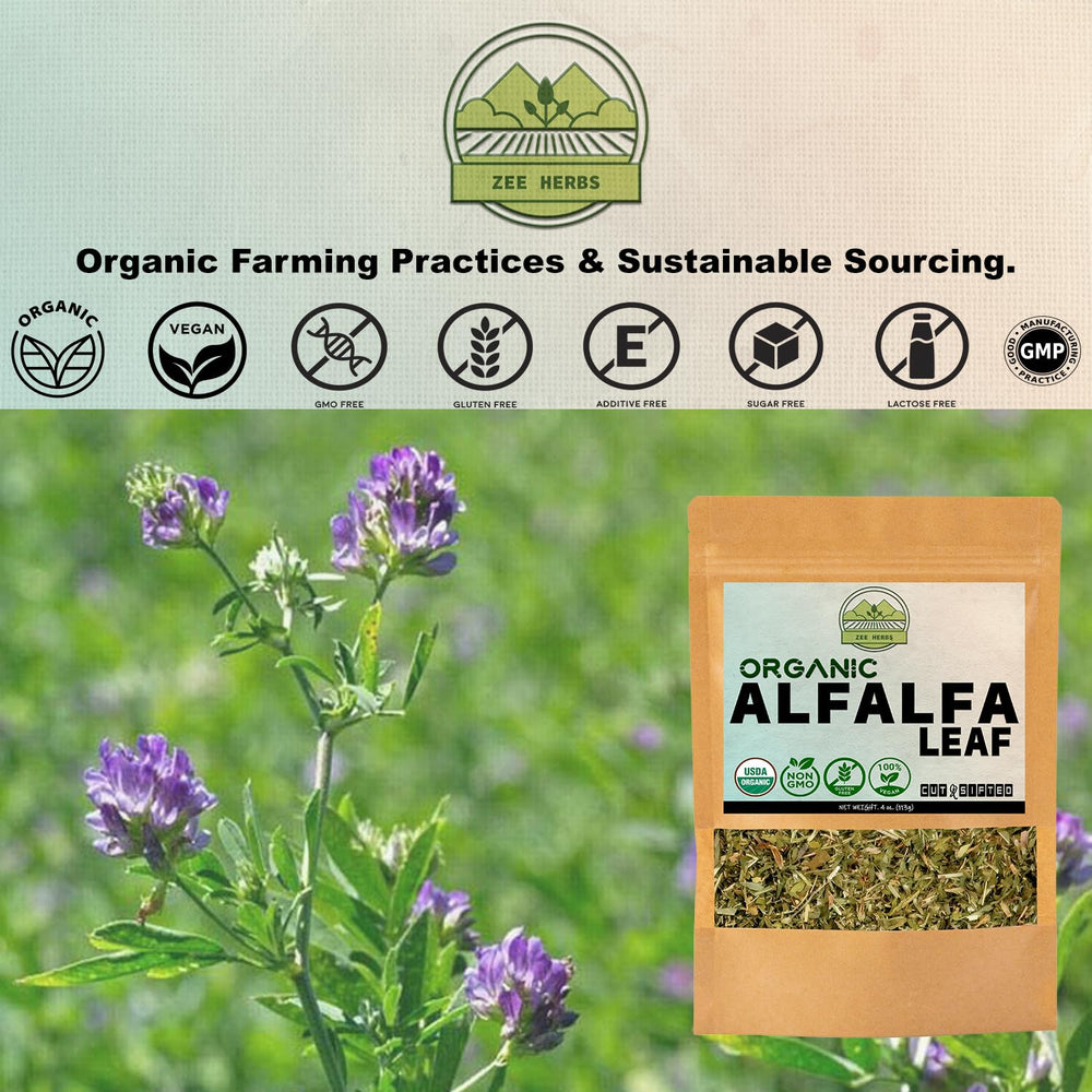 ZeeHERBS Alfalfa Leaf brewed tea in a cup inviting refreshing experience.
