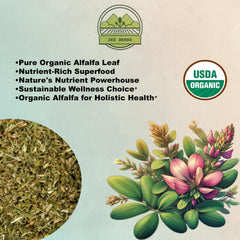 ZeeHERBS Organic Alfalfa Leaf loose tea leaves in a glass infuser showing color.